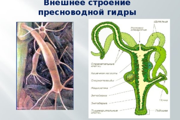 Кракен маркетплейс тор