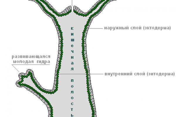 Ссылка на кракен официальный сайт