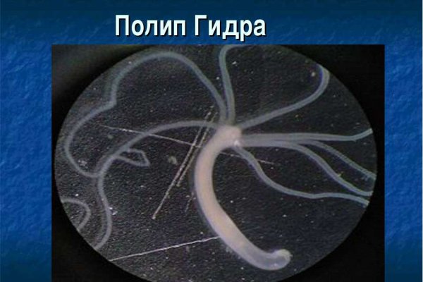 Кракен сайт маркетплейс
