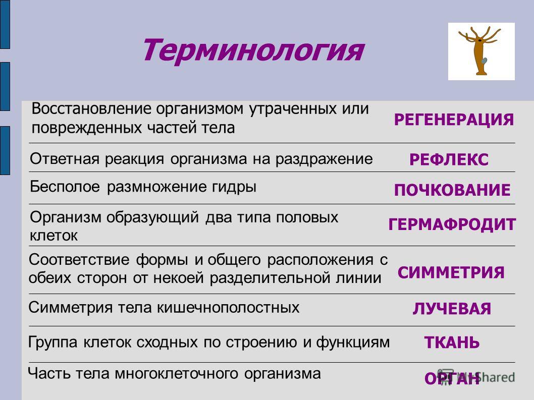 Где взять ссылку кракена